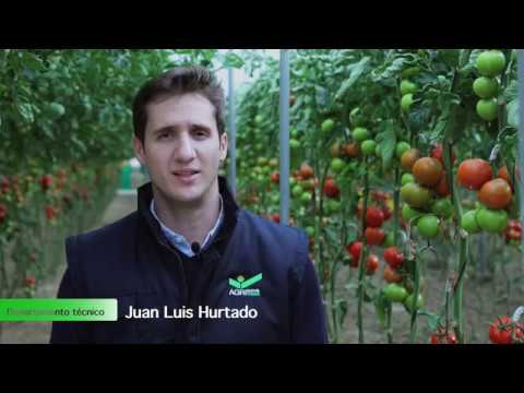 cultivers abono engorde y maduración ecológico 1 kg