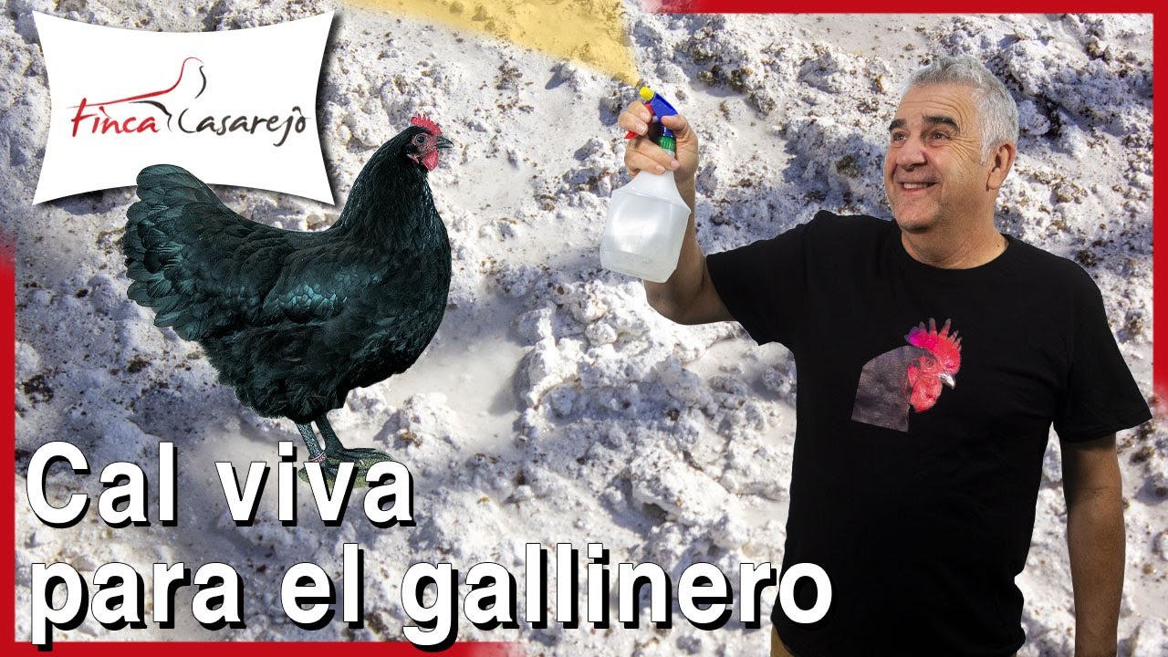 echar cal a la tierra para desinfectar
