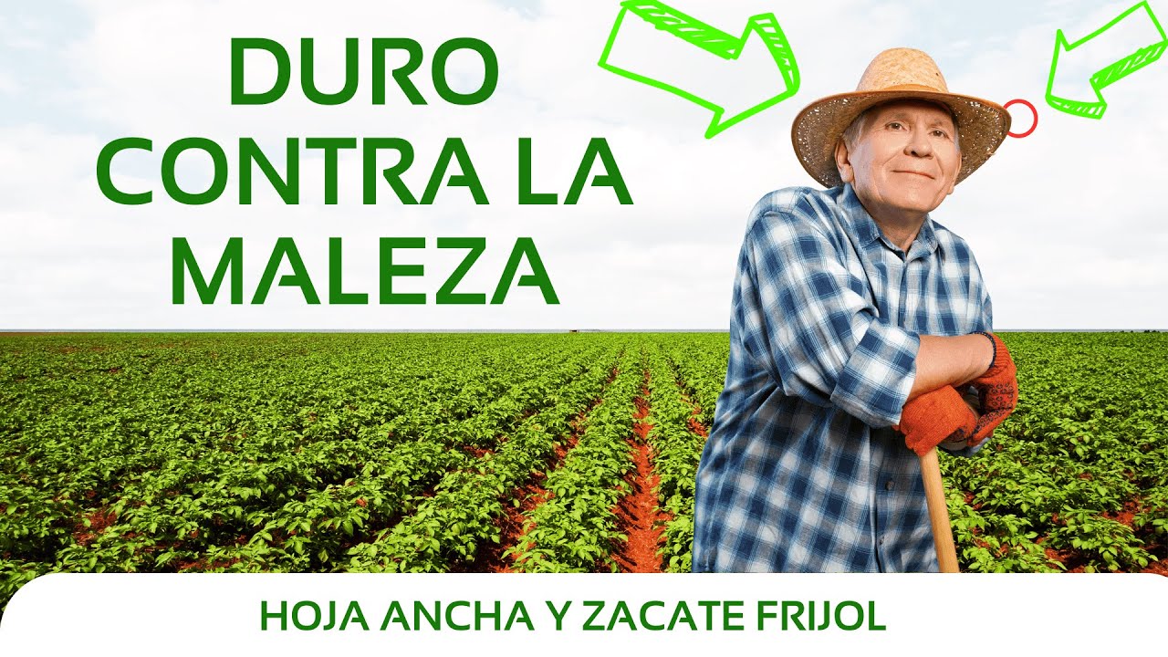herbicida para matar las malas hierbas