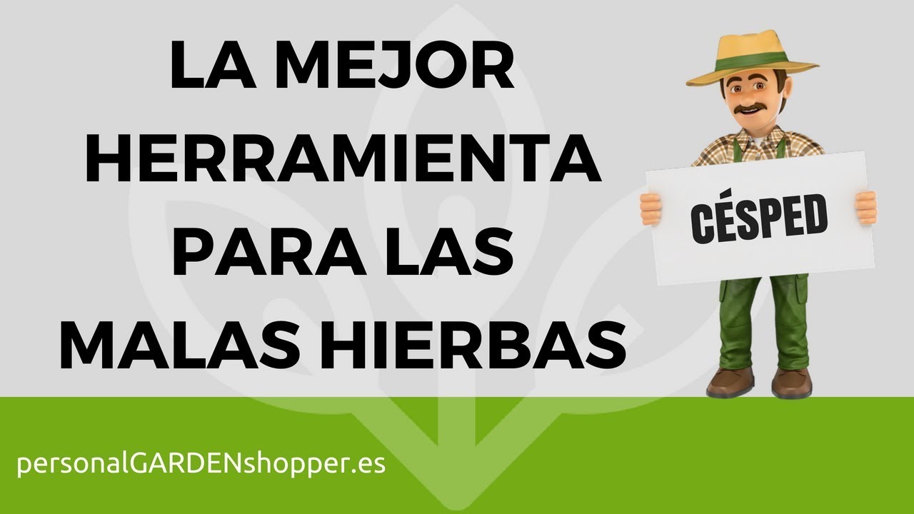 herramienta para quitar malas hierbas del cesped