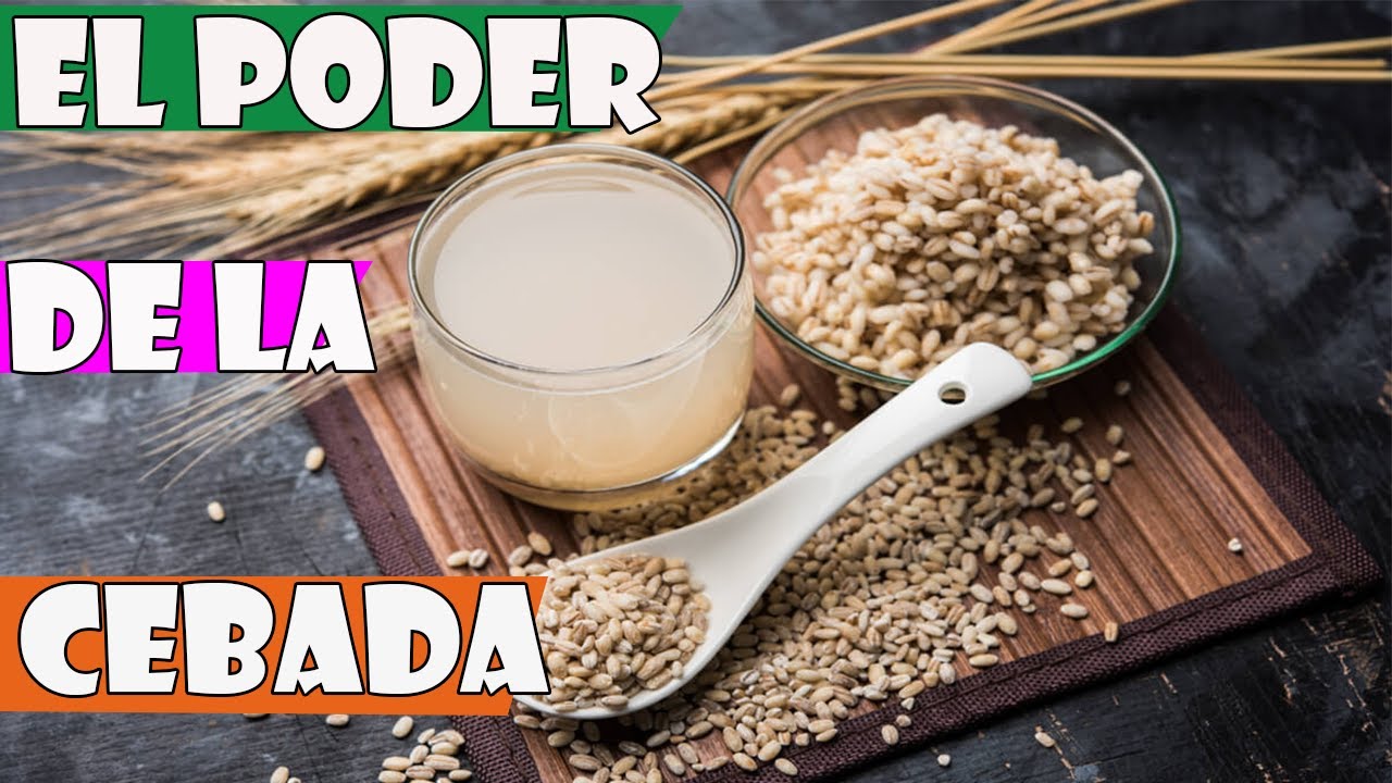 hierba de cebada propiedades y contraindicaciones