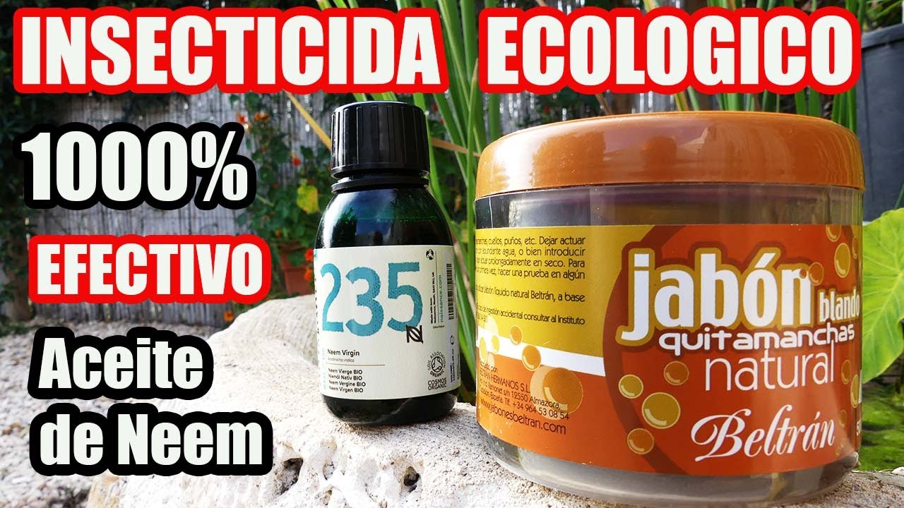 insecticida aceite de neem y jabon potasico