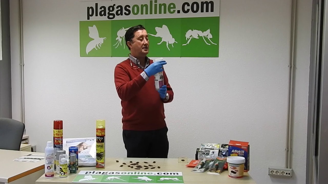 insecticida para todo tipo de insectos