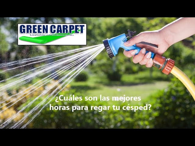 mejor hora para regar el cesped
