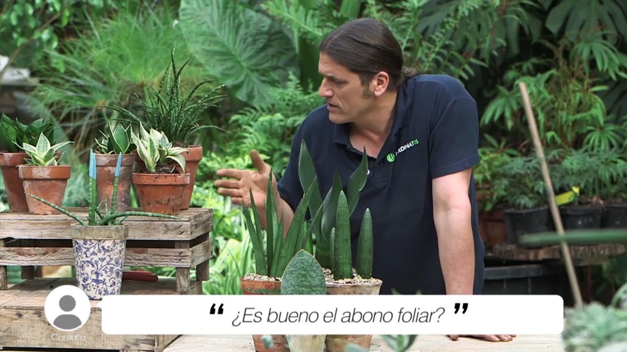 para que sirve el abono foliar