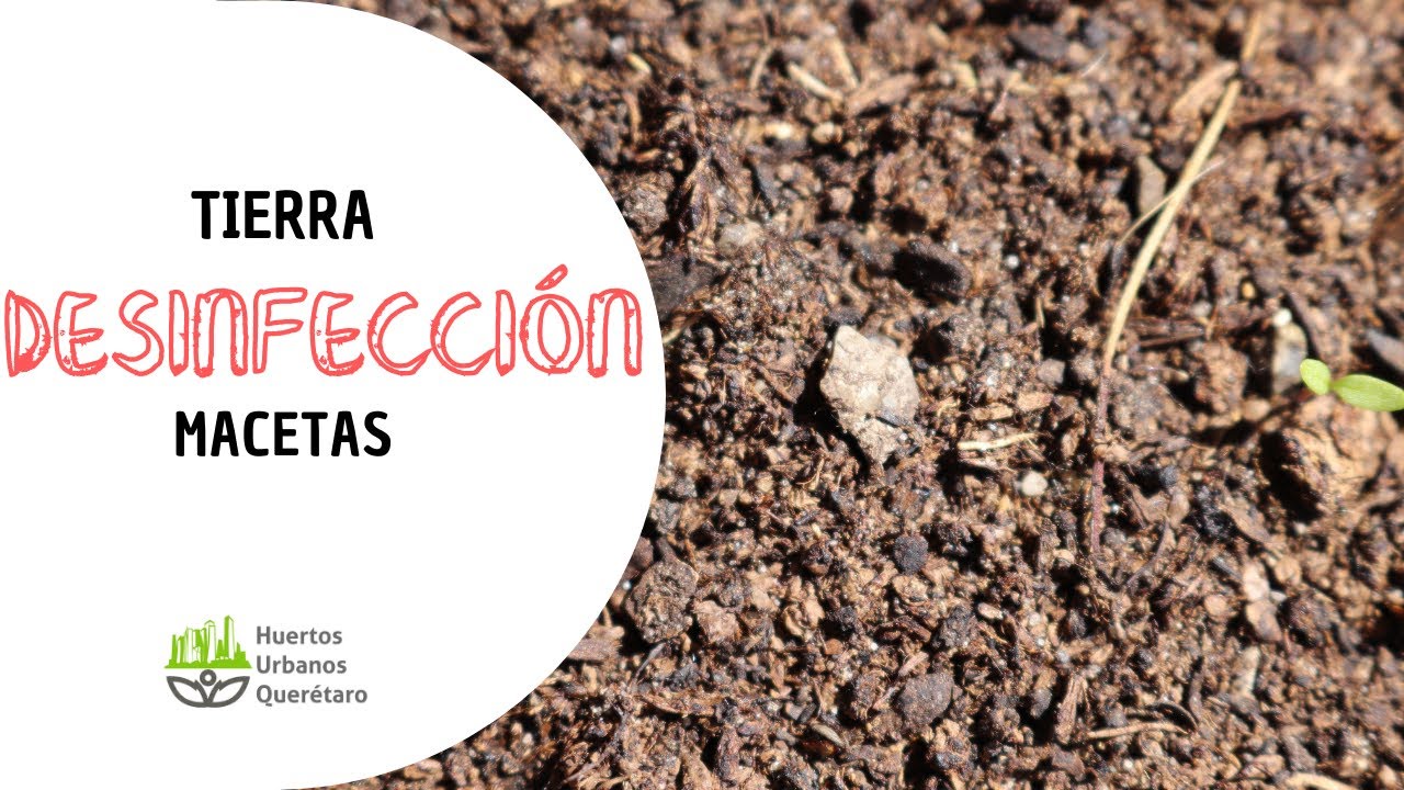 productos para desinfectar la tierra del huerto
