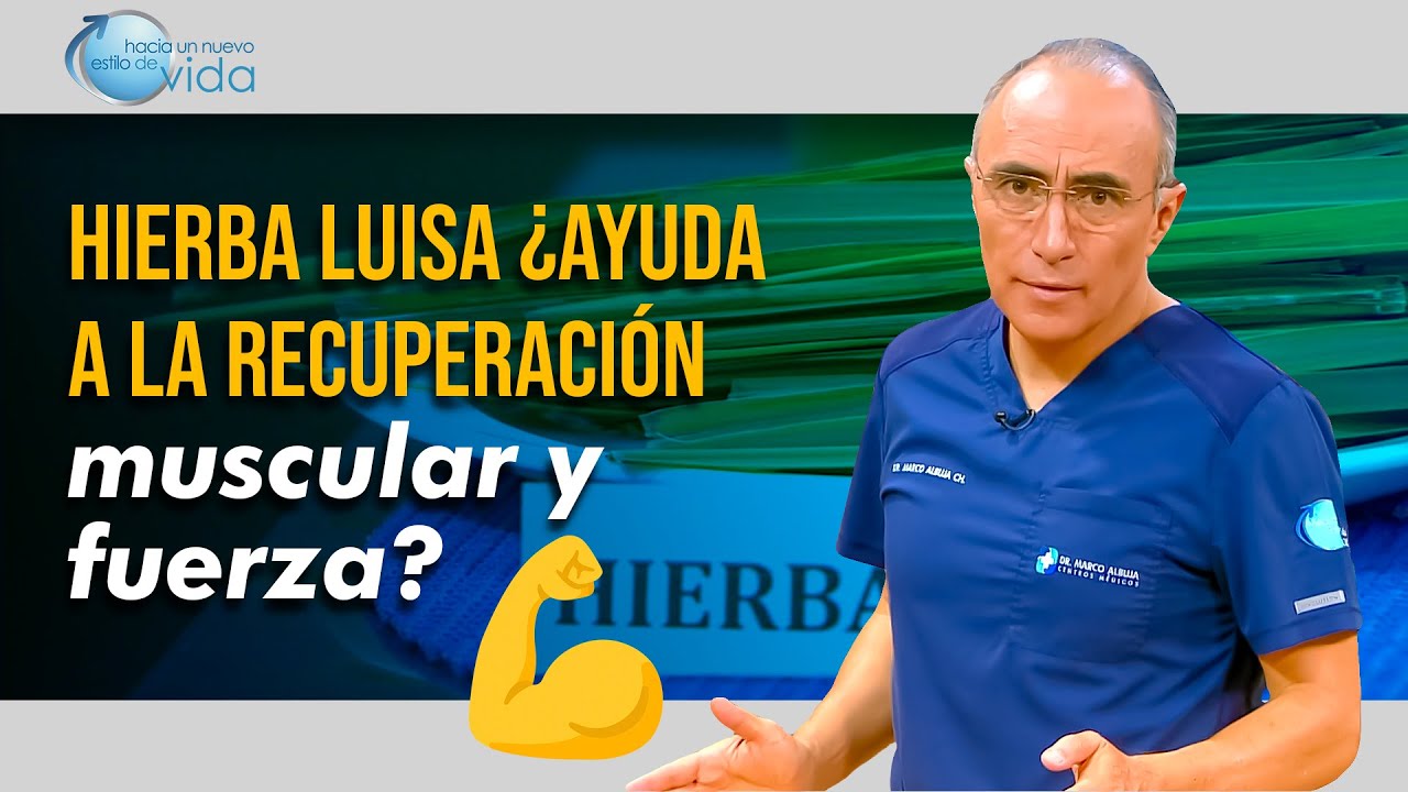 propiedades de la hierba luisa para adelgazar