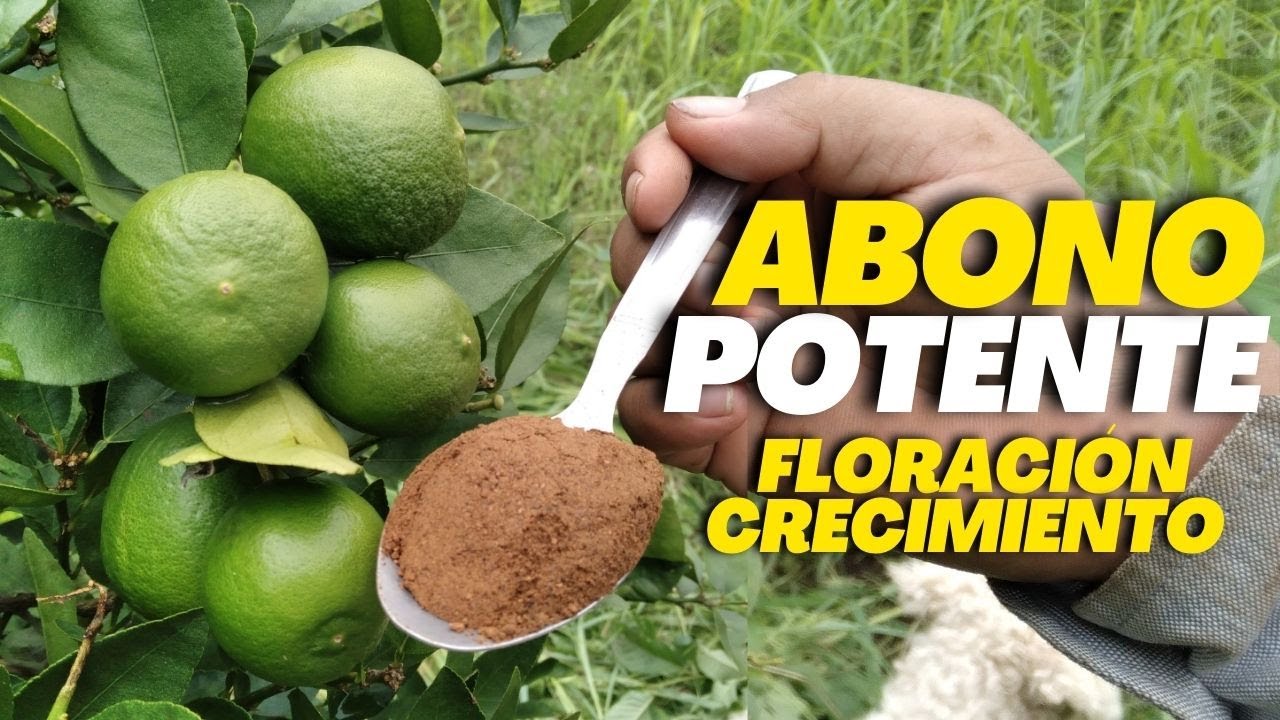 que tipo de abono necesita un limonero