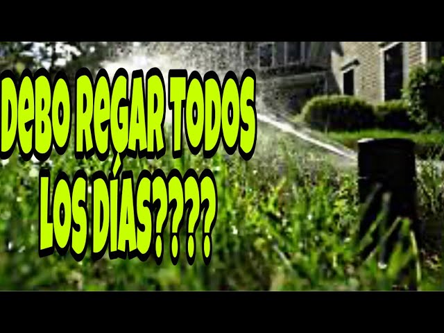 regar después de cortar el césped