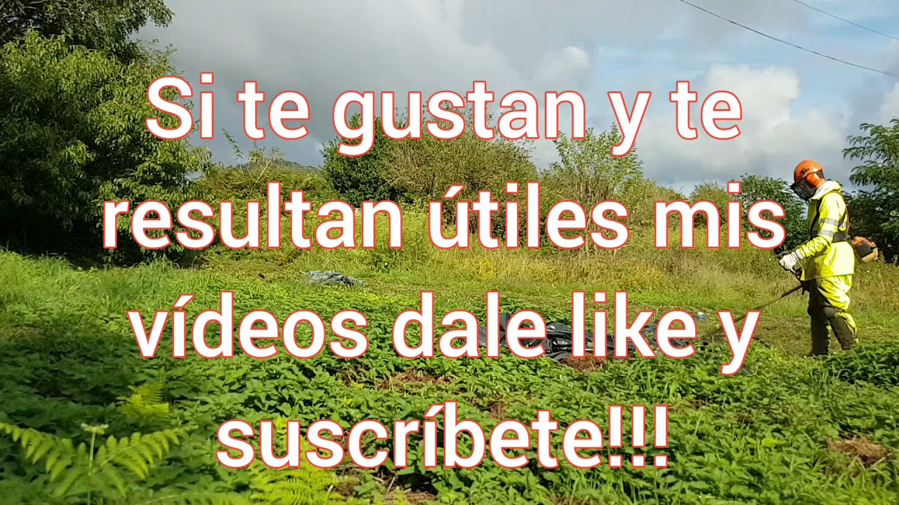 se puede desbrozar con la hierba mojada