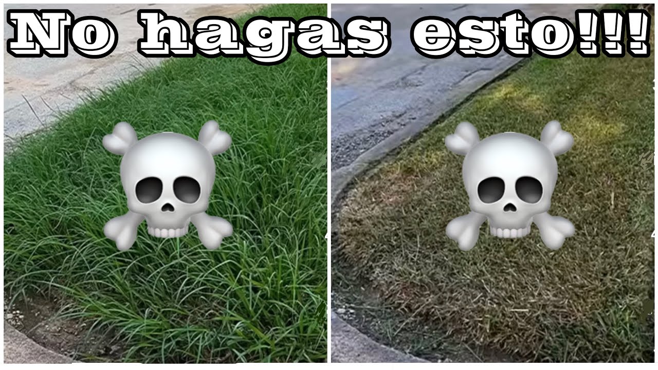 se puede podar con tijeras normales
