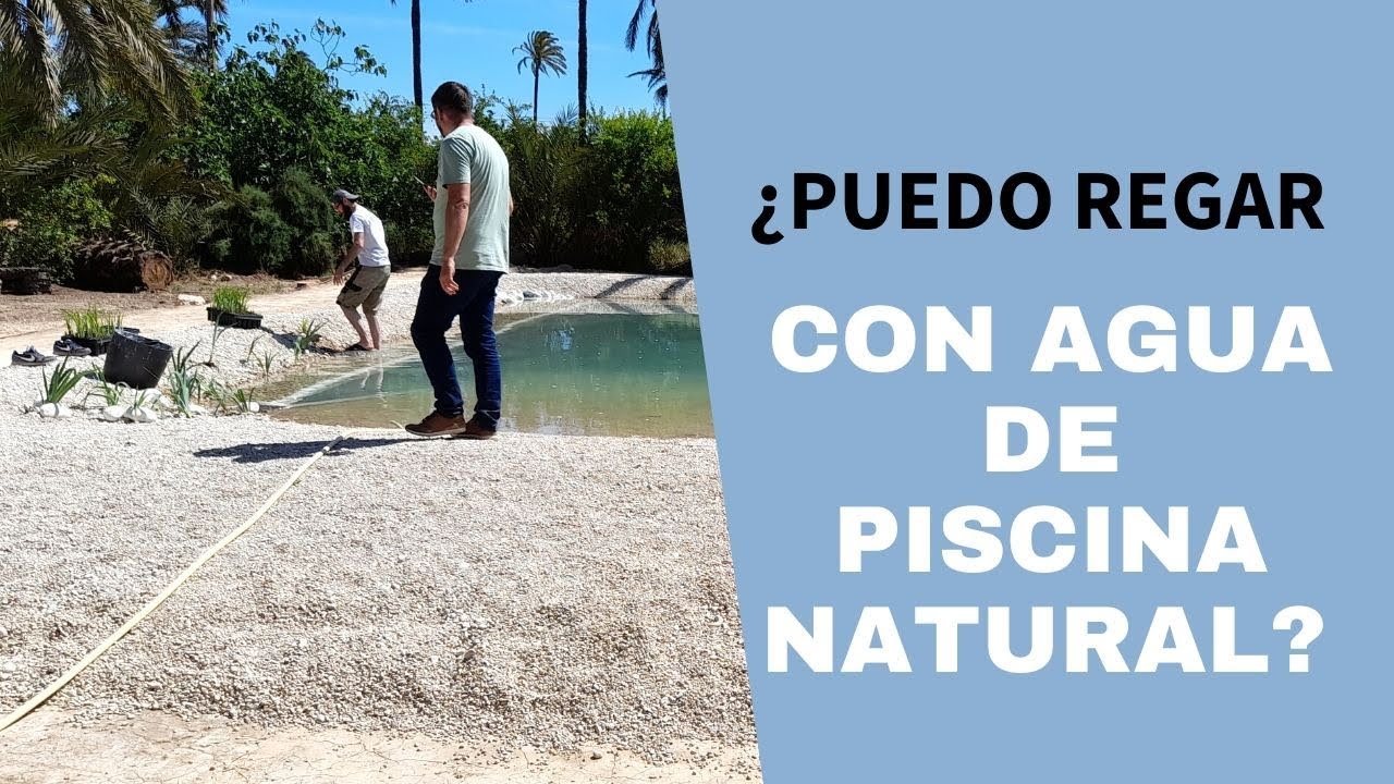se puede regar con agua de piscina