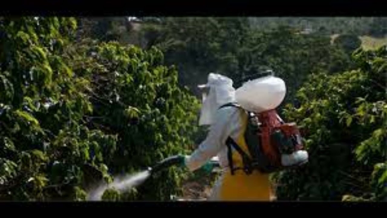 se pueden mezclar fungicidas con insecticidas