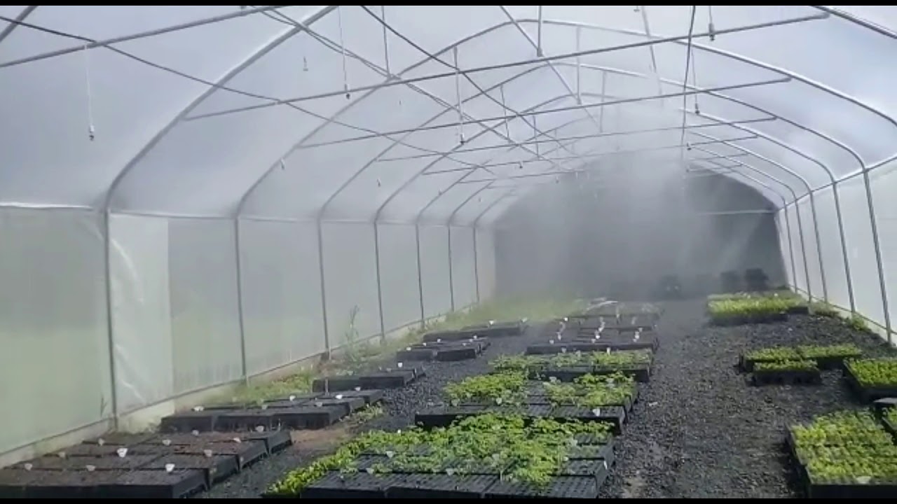 sistema de riego de un invernadero