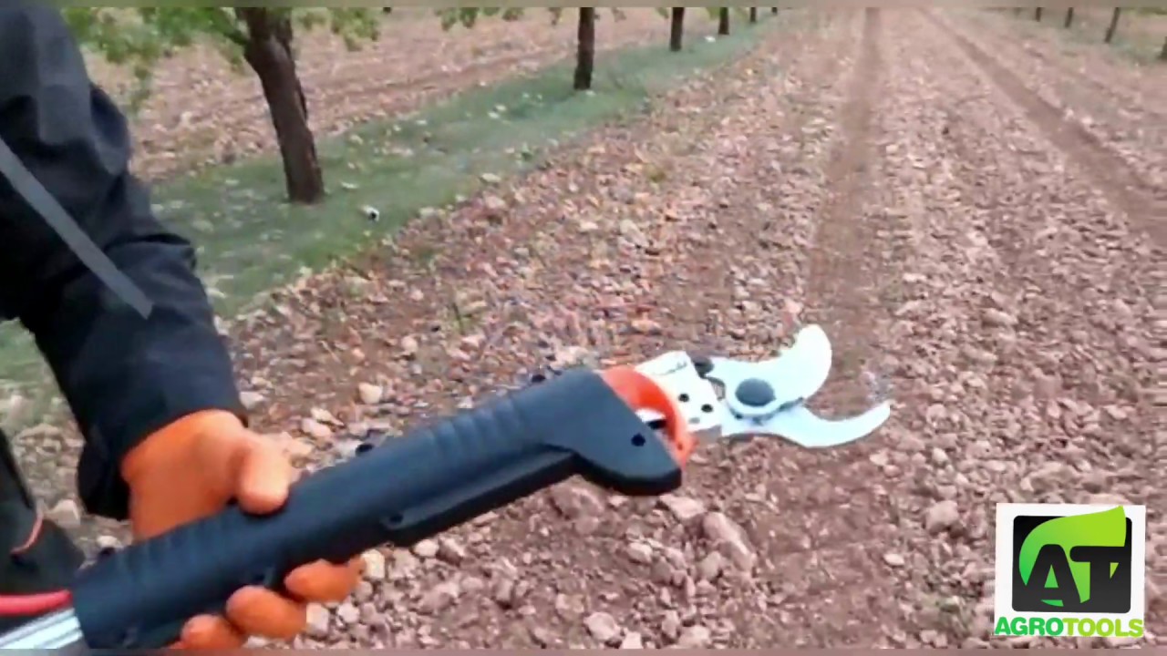 tijeras de podar a bateria con pertiga