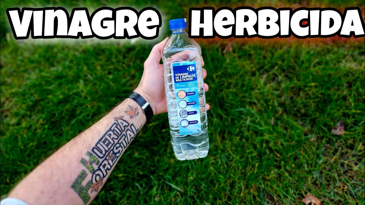 vinagre y sal para las malas hierbas